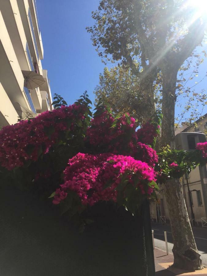 Jardins Du Pont Du Lys Διαμέρισμα Ζουάν λε Πιν Εξωτερικό φωτογραφία